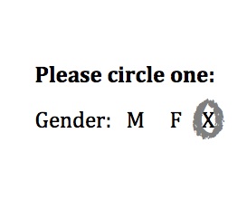 Third Gender